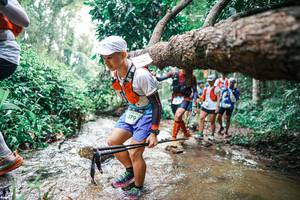 BIB: 
                            <button type="button" onclick="openModal(25374348)" class="btn btn-primary btn-sm float-right btn-popup" data-toggle="modal" data-target=".modal-high-quality">
                        <i class="fas fa-shopping-cart"></i> Add to Cart
                    </button>
                                            <button type="button" onclick="isThisMe(25374348, true)" class="btn btn-success btn-sm float-right btn-popup btn-isme hidden" data-toggle="tooltip" data-placement="bottom" title="นี่คือรูปของคุณใช่ไหม คลิกที่นี่เพื่อเอาเข้าอัลบั้ม">
                        <i class="fas fa-plus"></i> Add to album
                    </button>
                    <button type="button" onclick="isThisMe(25374348, false)" class="btn btn-warning btn-sm float-right btn-popup btn-isnotme hidden">
                        <i class="fas fa-ban"></i> Remove from album
                    </button>